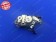 Assy Gear Wall NWT2505081